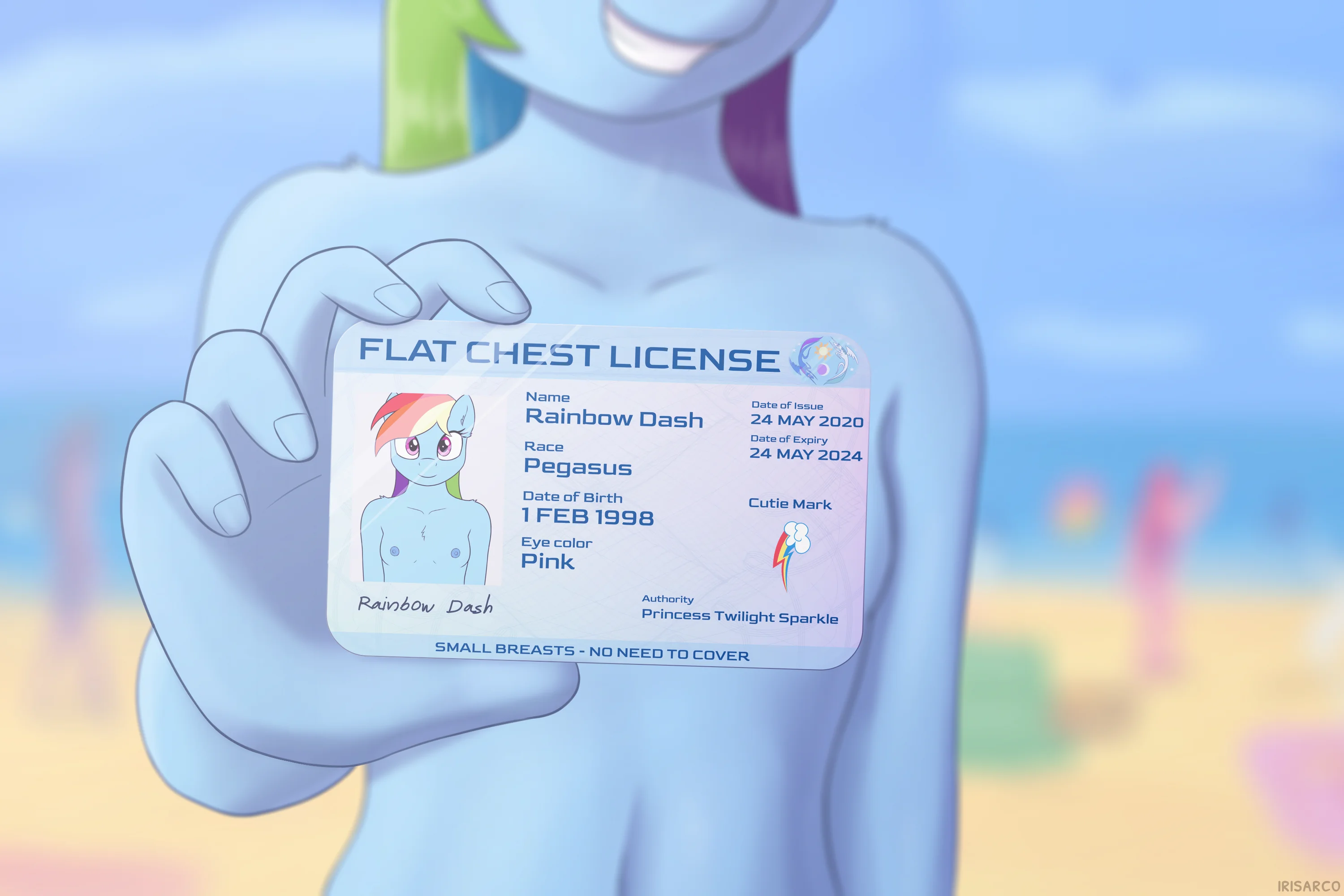 Flat Chest License (1/2)